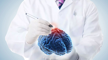 Neurology, Zivital EA